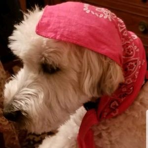 Meet your Posher, Sally